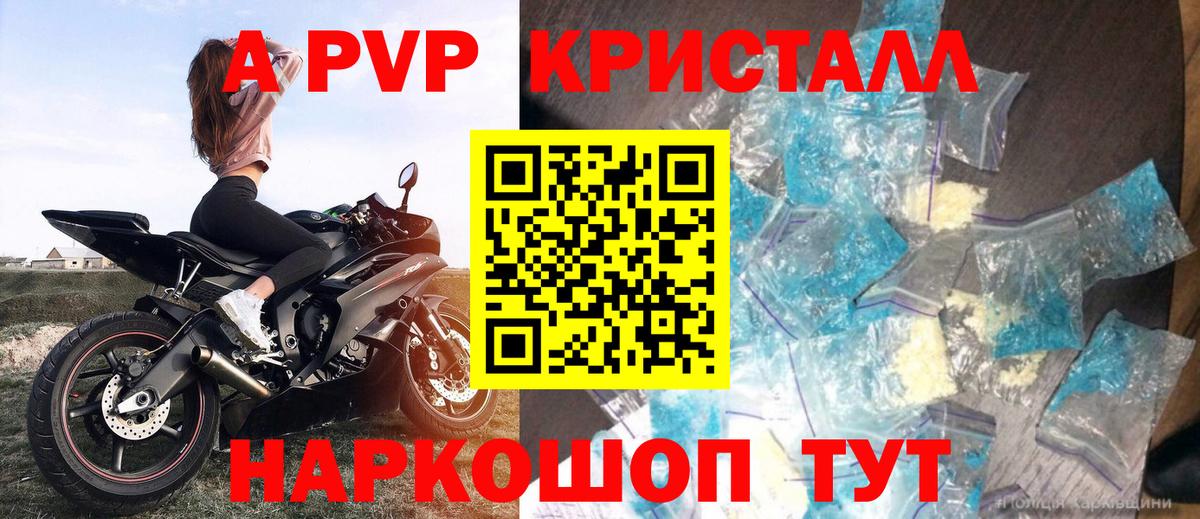 A PVP крисы CK  Вход с VPN  А ПВП  Великий Новгород  Альфа ПВП СК КРИС  A PVP крисы CK 