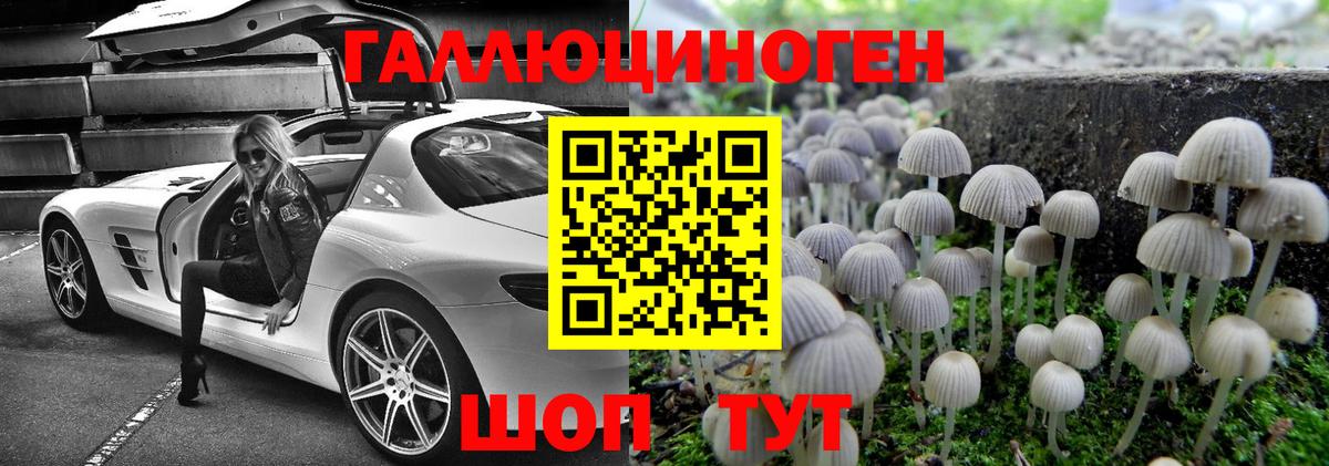 Псилоцибиновые грибы Cubensis Великий Новгород